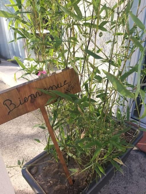 Rez De Jardin Cosy Avec Terrasse Fleurie Leilighet Arles-sur-Tech Eksteriør bilde